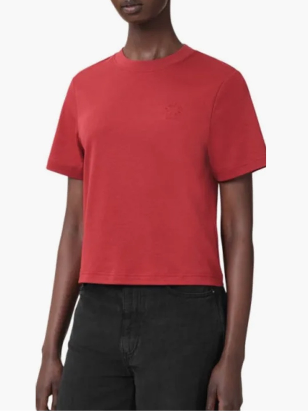 AllSaints Lisa Cotton Crewneck T-Shirt in Burnt Brick Red size Small